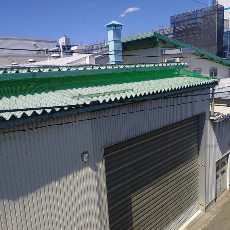 屋根上防鳥ネット事例画像 2